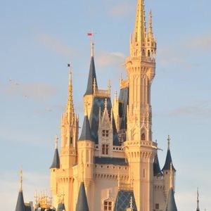 Meet your Posher, Manon